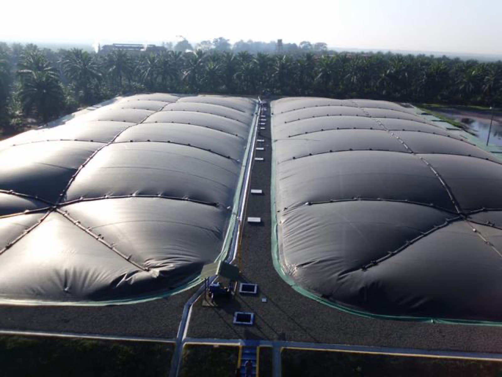 Grupo Olmeca / Grupo Hame — Tecun Uman, Guatemala project site