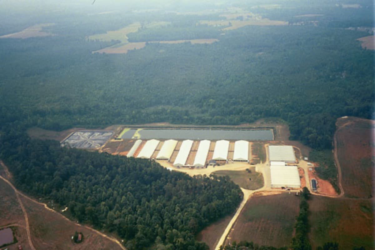 Lewiston Poultry — Biogas Capture & Odor Control