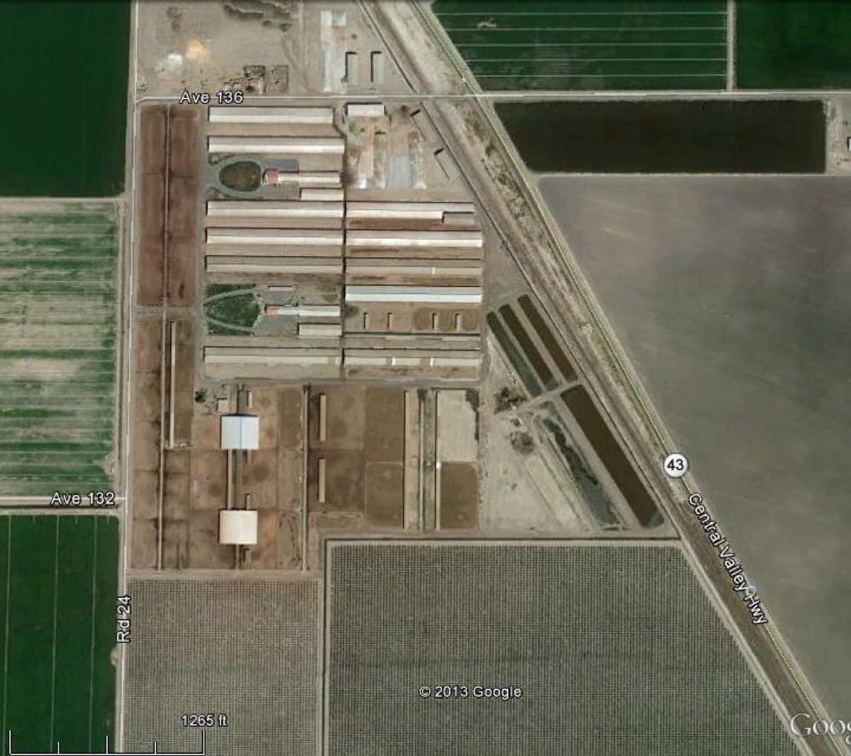 Pacific Rim Dairy — Tipton, CA project site