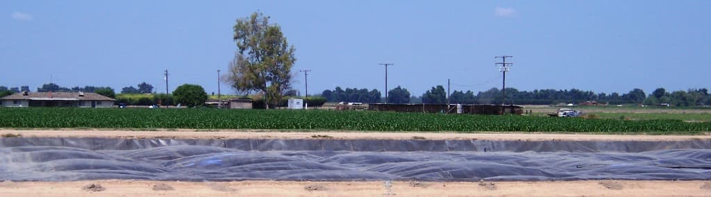 Sierra Cattle Company — Lindsay, CA project site